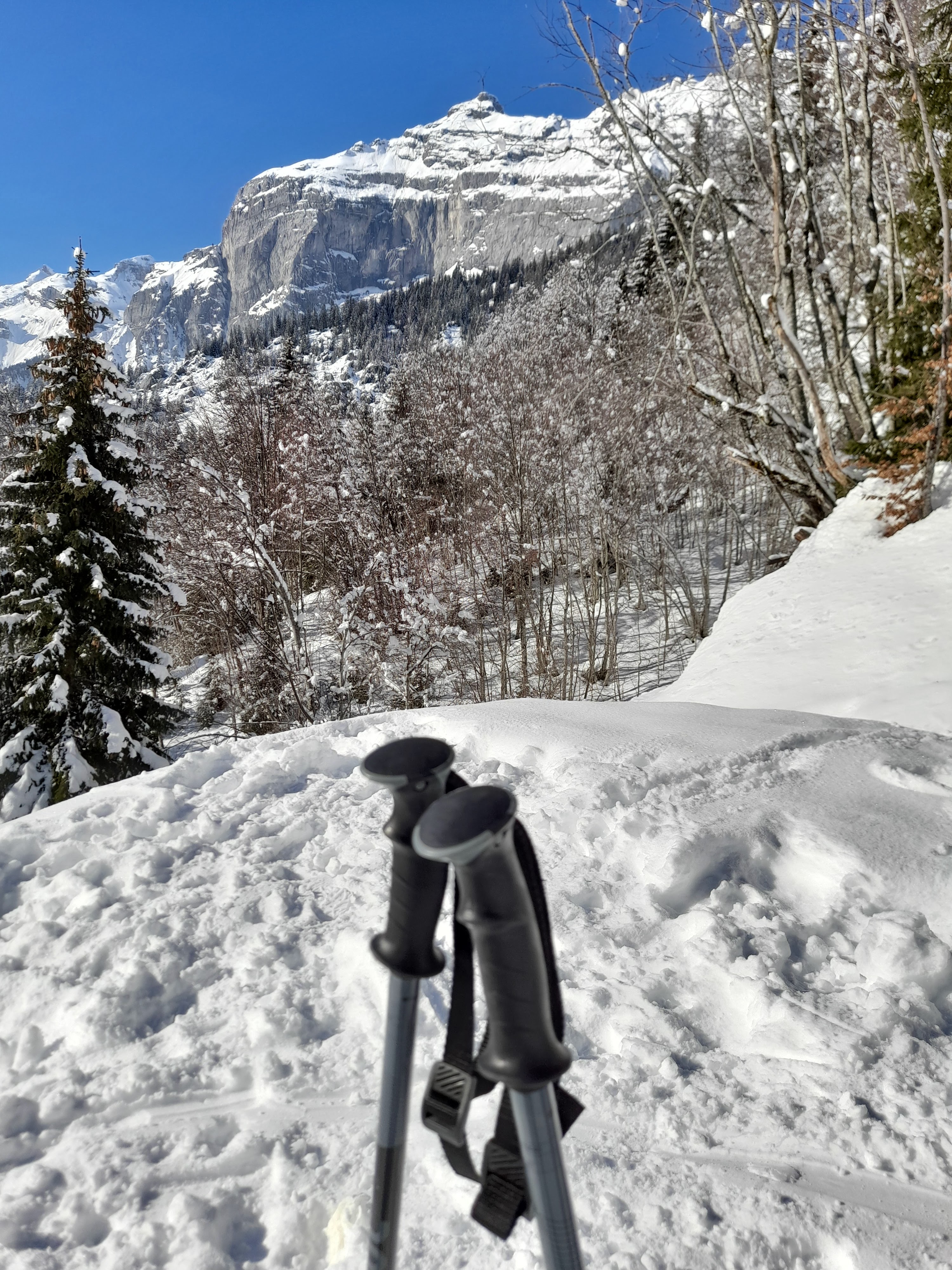 Photo n° 3 de l'avis de Roselyne.o fait le 28/02/2021 à 16:59