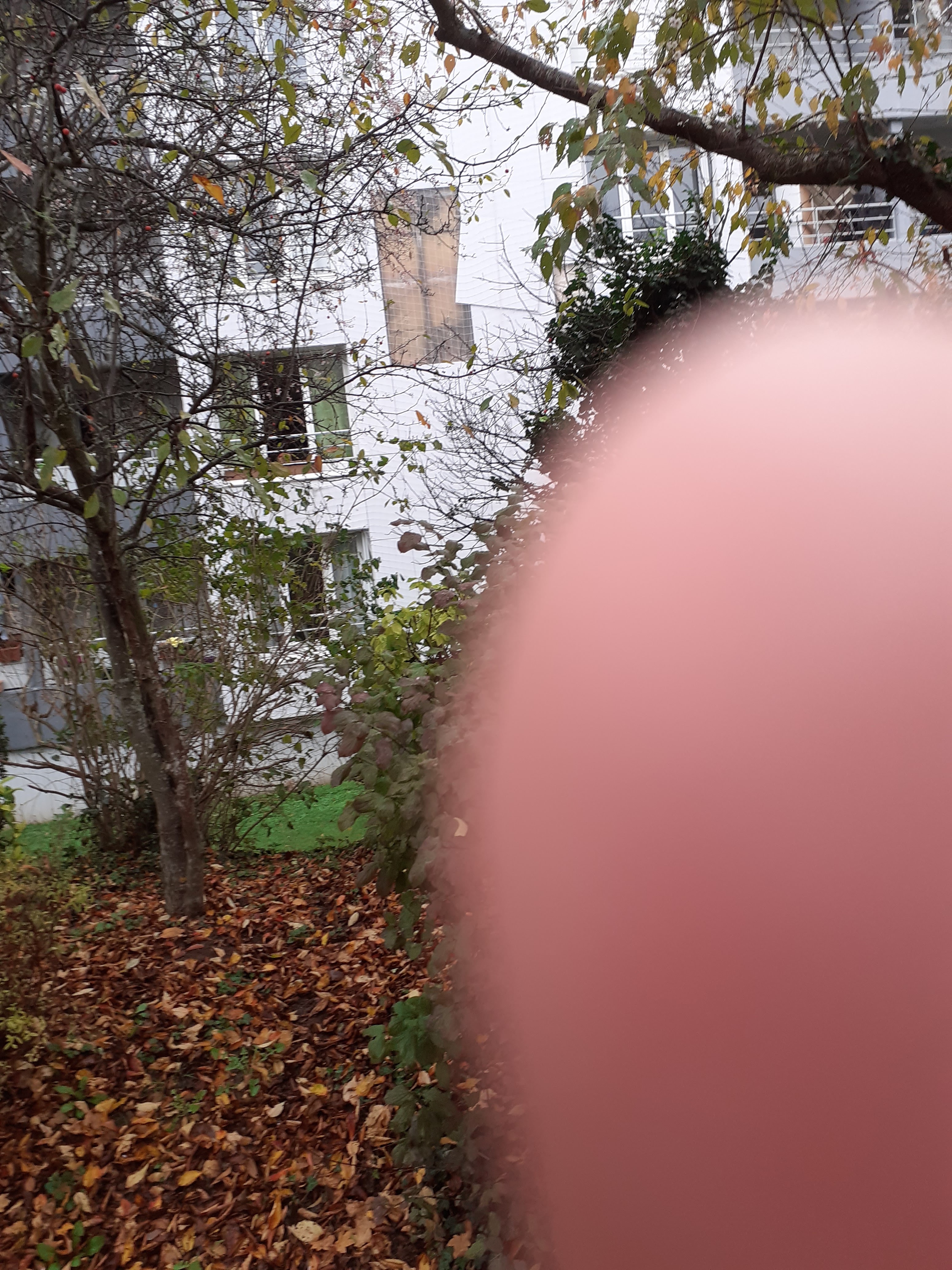 Photo n° 2 de l'avis de Valerie.a fait le 12/03/2021 à 16:02
