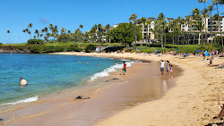 Kapalua Koyu Plajı'in fotoğrafı imkanlar alanı