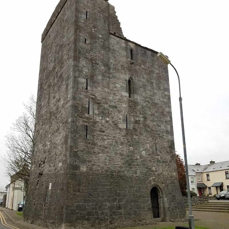 Maudlin Castle