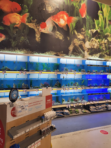 Pet Supply Store «PetSmart», reviews and photos, 1160 Stafford Market Pl, Stafford, VA 22556, USA