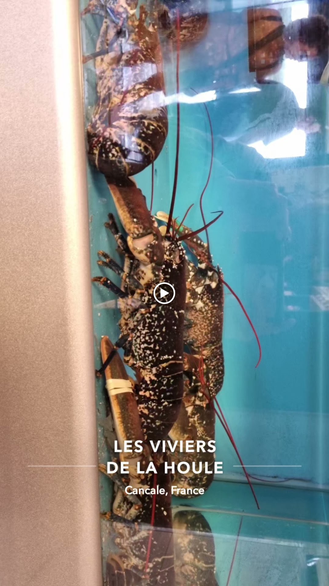 Photo n° 2 de l'avis de Veronique.a fait le 31/08/2023 à 12:28