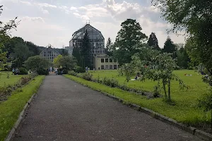 Lviv University Botanical Garden image