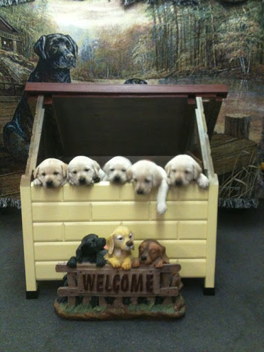 Pet Store «Affordable Pet Center», reviews and photos, 2022 Main St, Northampton, PA 18067, USA