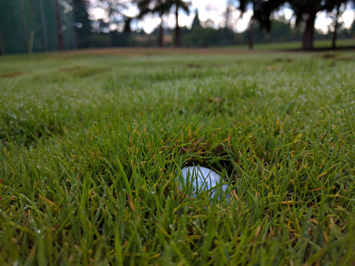Public Golf Course «Lake Oswego Public Golf Course», reviews and photos, 17525 SW Stafford Rd, Lake Oswego, OR 97034, USA