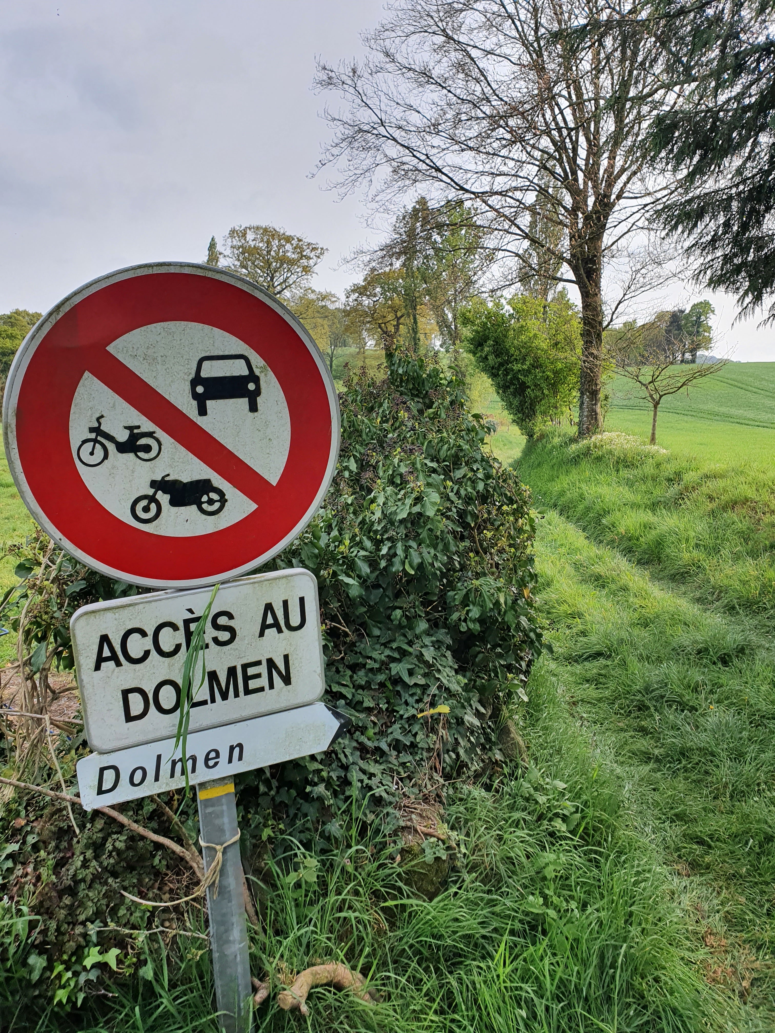 Photo n° 2 de l'avis de Ré.i fait le 30/04/2022 à 16:13