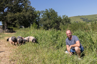Ferme Itzalea à Lohitzun-Oyhercq