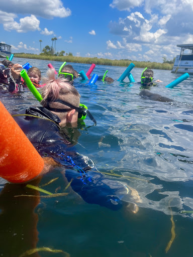 Tourist Attraction «Fun 2 Dive - Swim with Manatees», reviews and photos, 135 NE 3rd St, Crystal River, FL 34429, USA