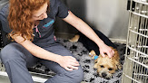Pet Practice Veterinary Surgery
