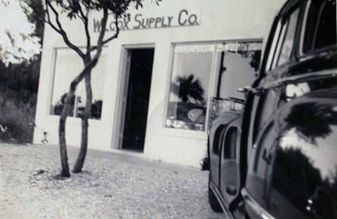 Plant Nursery «Wilcox Nursery», reviews and photos, 12501 Indian Rocks Rd, Largo, FL 33774, USA