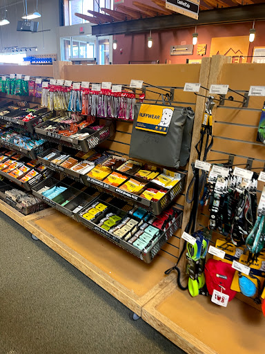 Camping Store «REI», reviews and photos, 11581 Fountains Dr, Maple Grove, MN 55369, USA