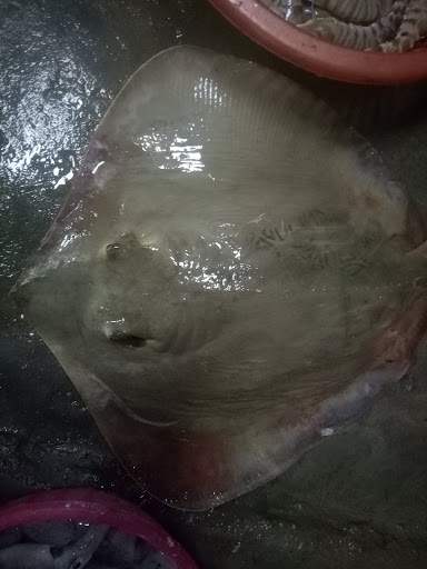 Top 20 cửa hàng hải sản Huyện Cẩm Xuyên Hà Tĩnh 2022