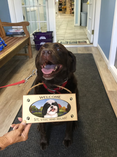 Cozy Pet, 70 W Main St, Babylon, NY 11702, USA, 