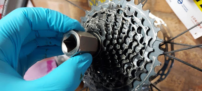 Kempsey Bike Servicing & Repairs - Bicycle store