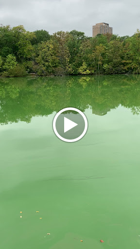 Park «Weequahic Park Track», reviews and photos, 1 Thomas Carmichael Dr, Newark, NJ 07114, USA