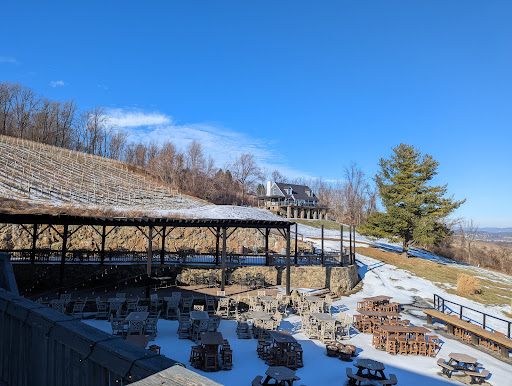 Winery «Bluemont Vineyard», reviews and photos, 18755 Foggy Bottom Rd, Bluemont, VA 20135, USA