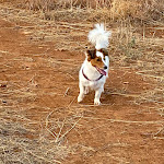 Photo n°4 de l'avis de Roberto.e fait le 16/10/2023 à 13:46 sur le  Trigrana Vacanze Hotel - Castelluzzo - San Vito Lo Capo à Castelluzzo