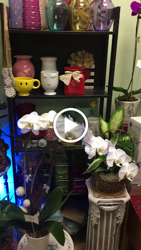 Florist «Edgewood Flowers», reviews and photos, 4927 S Orange Ave, Orlando, FL 32806, USA