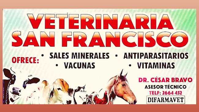 Veterinaria "San Francisco" - Veterinario