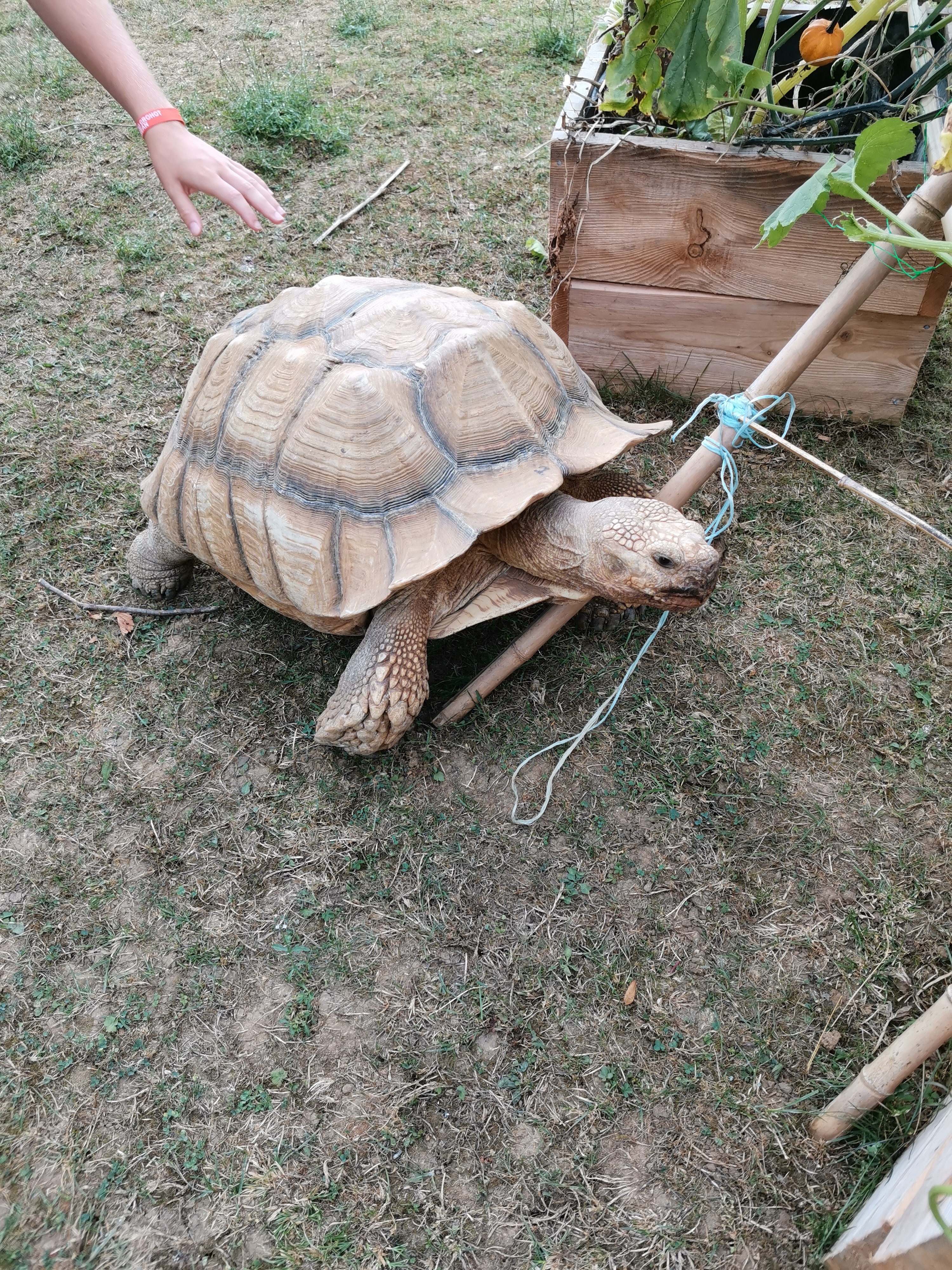 Photo n° 2 de l'avis de jerome. fait le 01/09/2021 à 14:11
