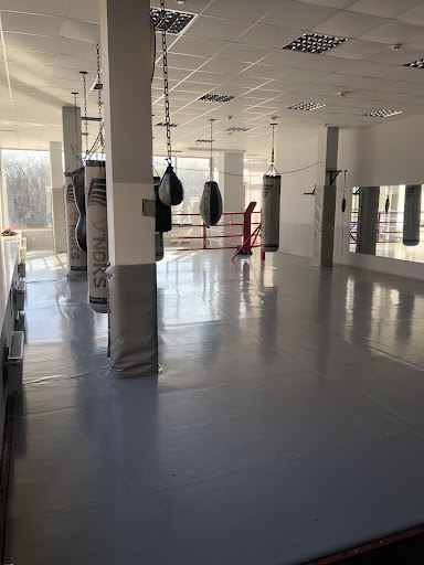 Ponomarev Boxing Club