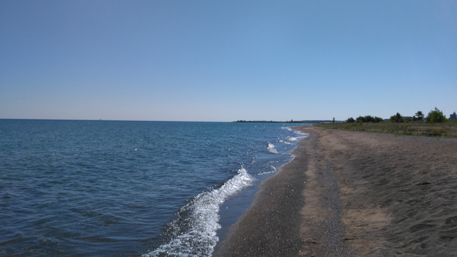 Photo de South Shore Park Beach zone sauvage