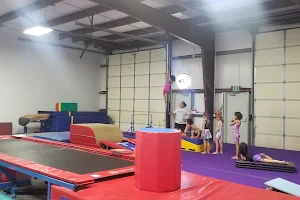 NoCo Gymnastics image