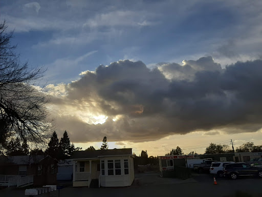 Used Car Dealer «Pacific Auto Inc», reviews and photos, 1495 Grass Valley Hwy, Auburn, CA 95603, USA