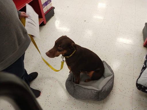 Pet Supply Store «Petco Animal Supplies», reviews and photos, 20111 US-19 #201c, Cranberry Twp, PA 16066, USA