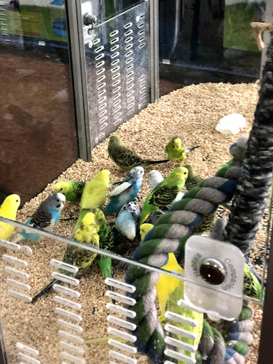 Pet Supply Store «Monster Pets», reviews and photos, 130 Black Horse Pike # 502, Audubon, NJ 08106, USA
