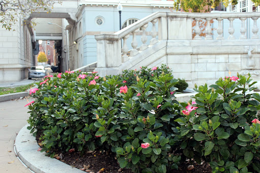 Monument «Washington Monument», reviews and photos, 699 Washington Pl, Baltimore, MD 21201, USA