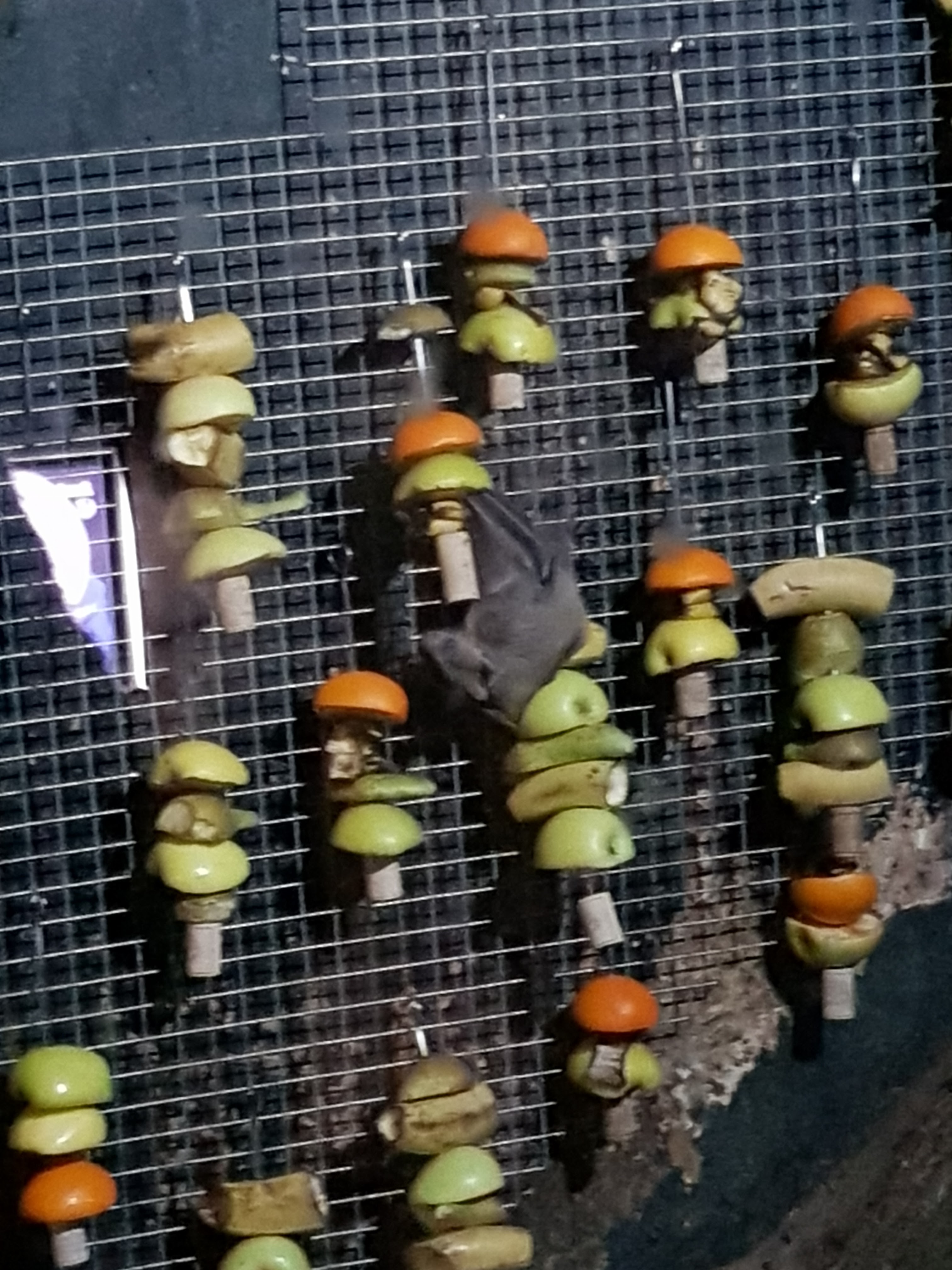 Photo n° 4 de l'avis de Elo.b fait le 09/06/2019 à 12:26