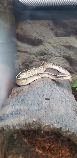 Pet Supply Store «Petco Animal Supplies», reviews and photos, 217 Oak Lee Dr #16, Ranson, WV 25438, USA