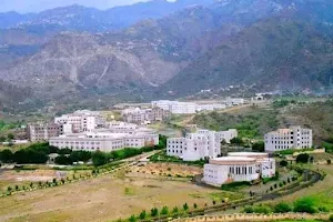 Taiz University image