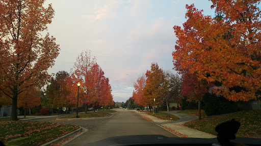 Public Golf Course «BanBury Golf Course Eagle», reviews and photos, 2626 S Marypost Pl, Eagle, ID 83616, USA