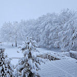 Photo n°2 de l'avis de Bernhard.o fait le 21/01/2024 à 13:24 sur le  Bannwaldsee Hotel GmbH & Co. KG à Halblech