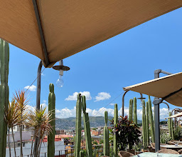 Terraza Los Amantes photo