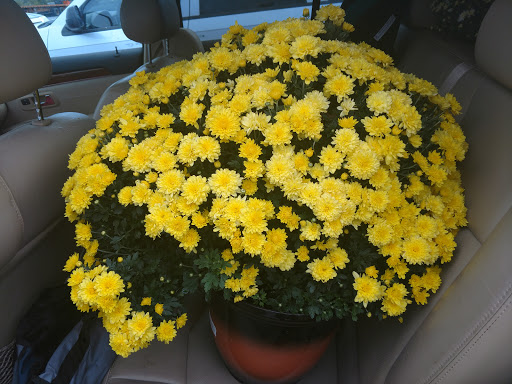 Home Improvement Store «The Home Depot», reviews and photos, 7 N Park Dr, Newton, NJ 07860, USA