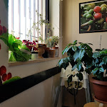 Photo n°8 de l'avis de Antonio.a fait le 17/02/2019 à 15:09 sur le  Kaffa Street bar à Frigintini