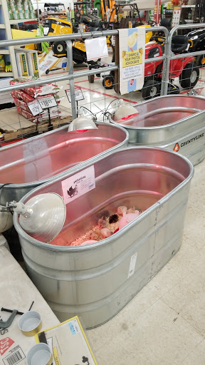 Home Improvement Store «Tractor Supply Co.», reviews and photos, 1550 Whitehall Rd, Muskegon, MI 49445, USA