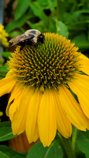 Home Improvement Store «The Home Depot», reviews and photos, 230 Steven B Tanger Blvd, Commerce, GA 30529, USA