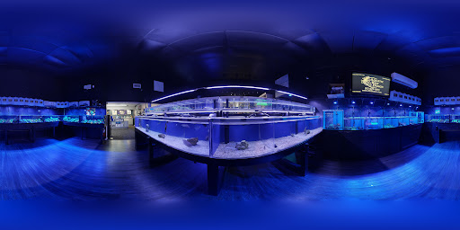 Aquarium «Aquatic Design & Development Group, LLC», reviews and photos, 1725 SW 17th St, Ocala, FL 34471, USA