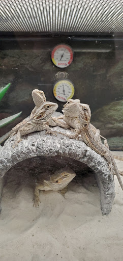 Pet Supply Store «Petco Animal Supplies», reviews and photos, 10 Waterfront Pl, Port Chester, NY 10573, USA