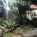 Photo n°3 de l'avis de Luciano.a fait le 26/08/2023 à 21:32 sur le  Ristoro Agriturismo Carleo à Melendugno