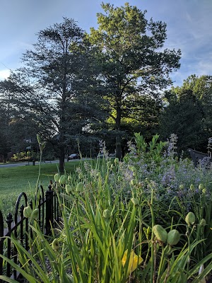 Marshall Square Park - photo 27