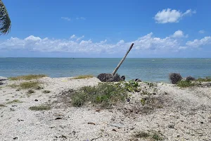 Beach Captain image