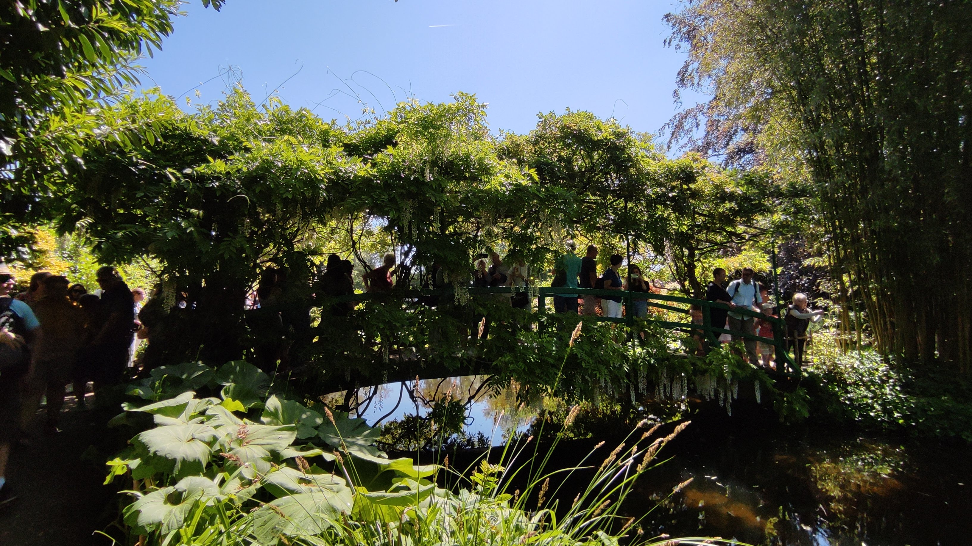 Photo n° 1 de l'avis de Diord.e fait le 01/06/2023 à 16:56