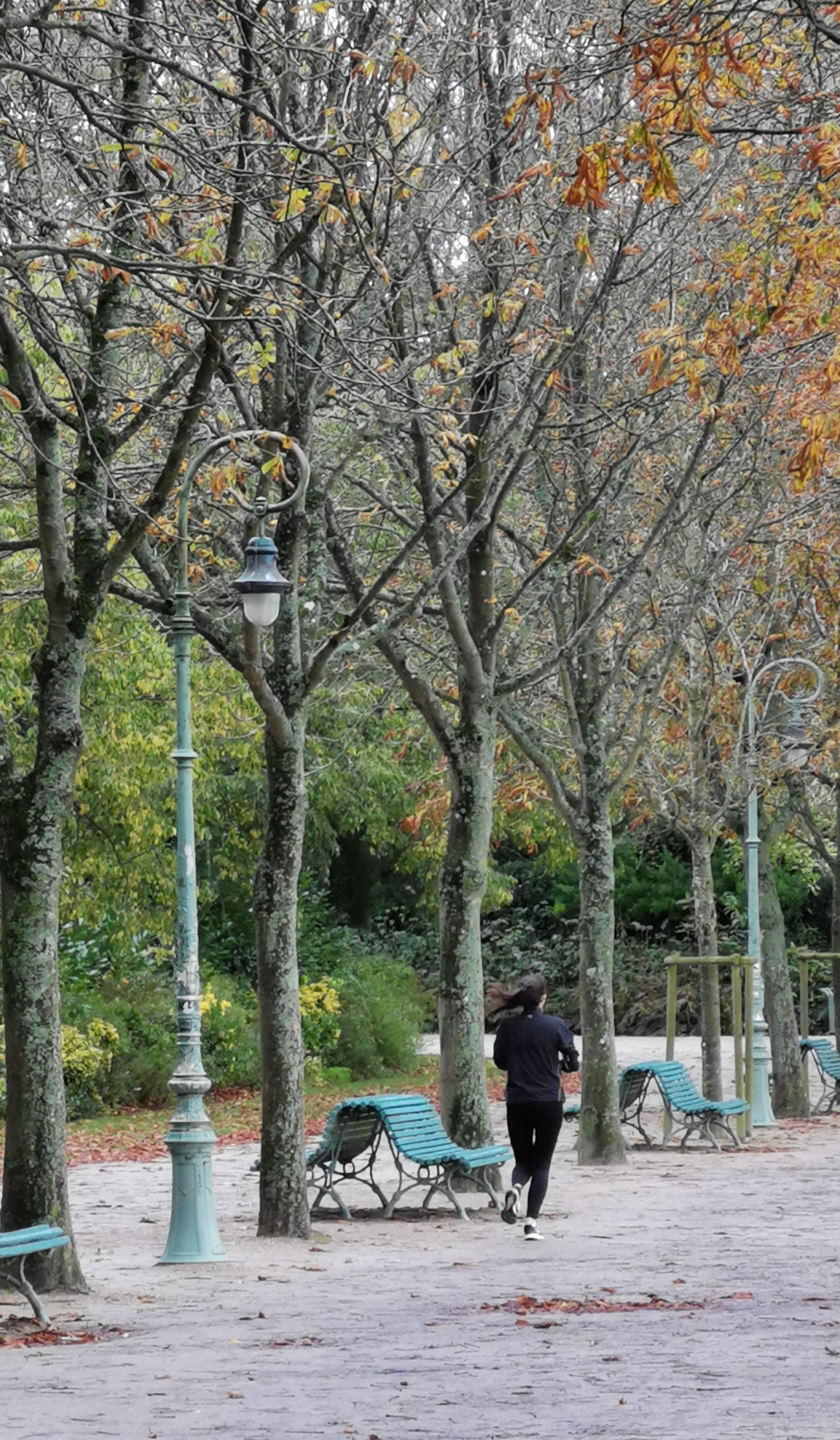 Photo n° 6 de l'avis de Corinne.l fait le 05/11/2019 à 16:05