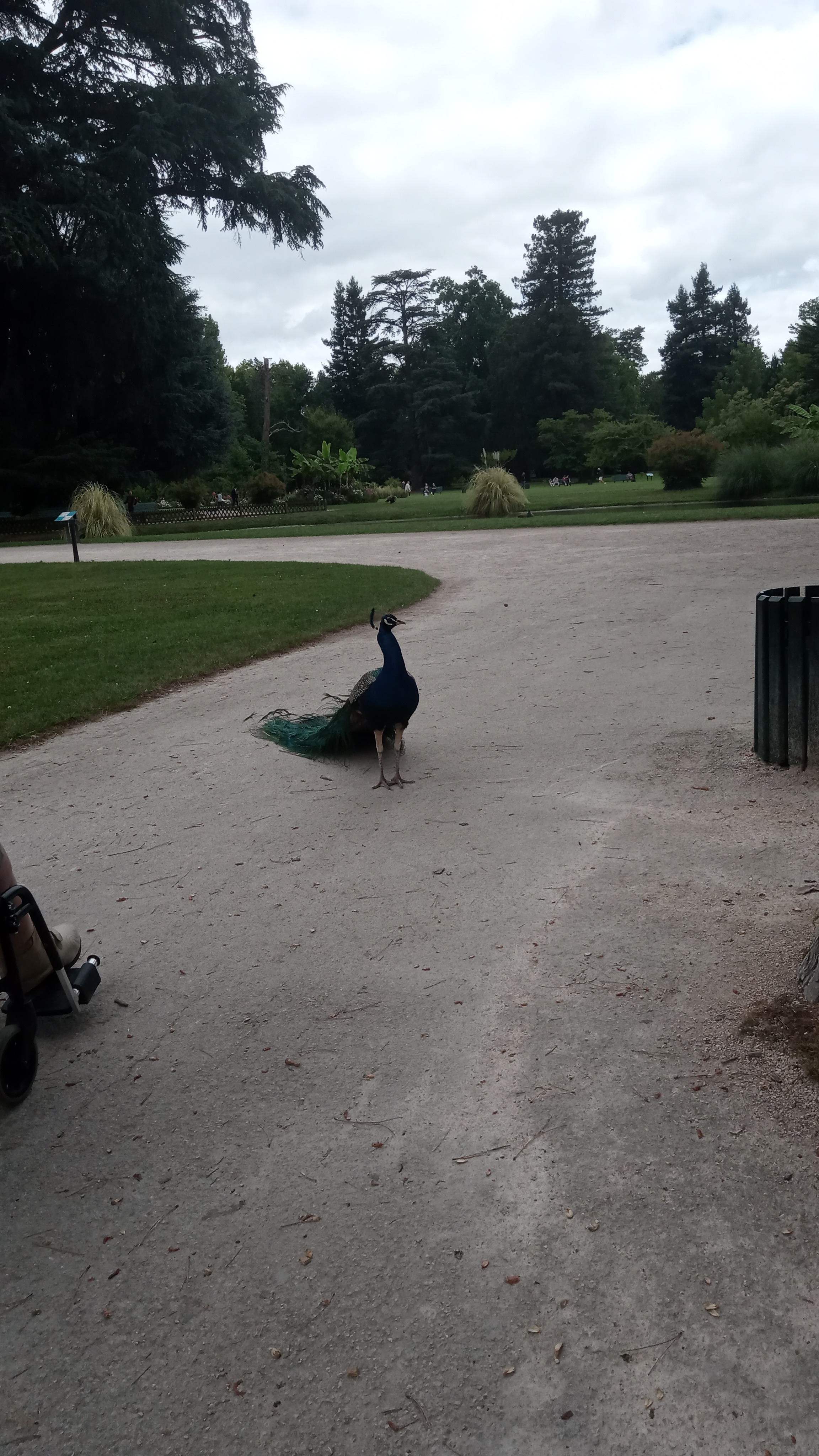 Photo n° 4 de l'avis de blandine.a fait le 15/07/2020 à 14:11