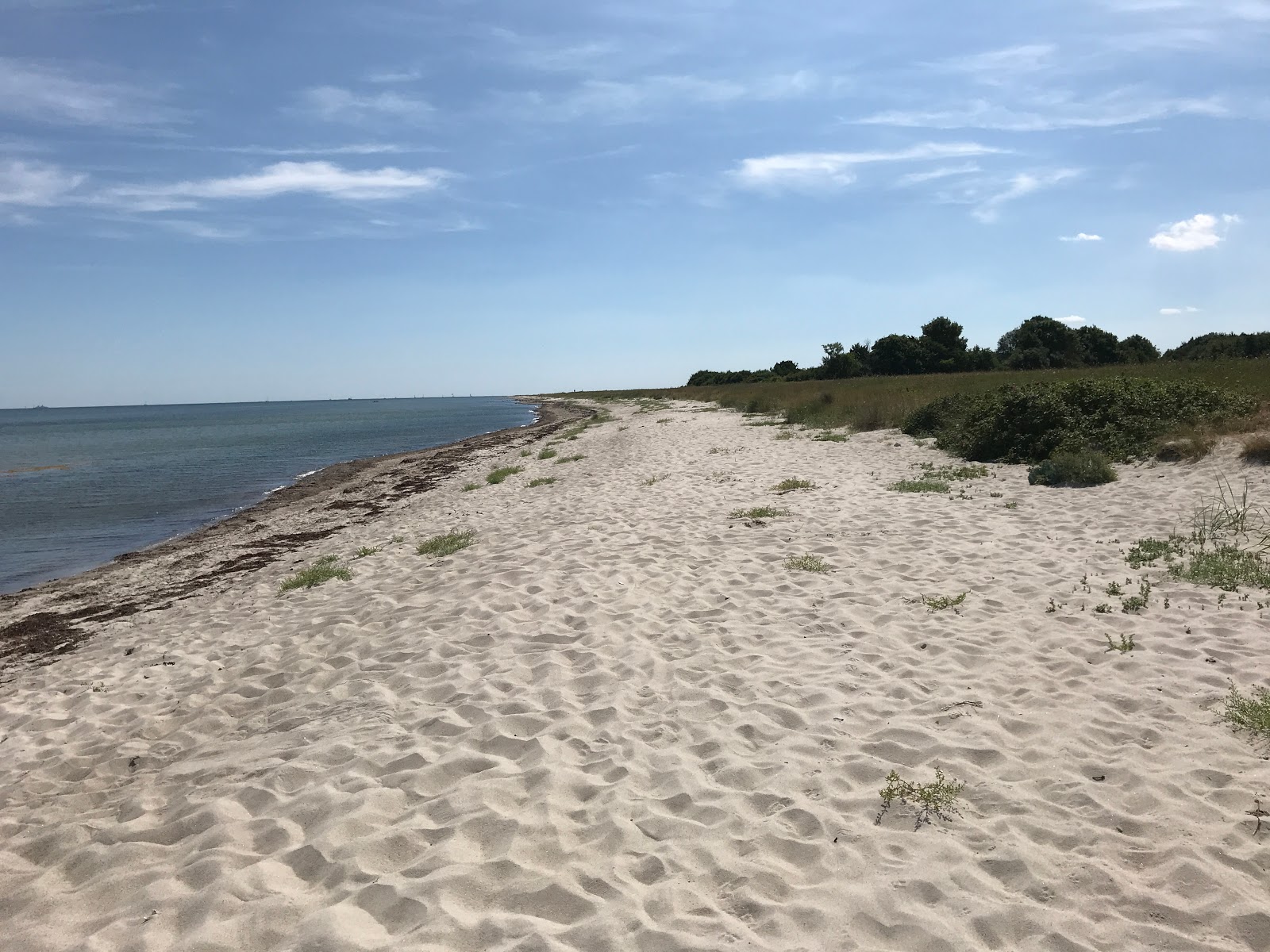 Photo de Maasholm strand - endroit populaire parmi les connaisseurs de la détente
